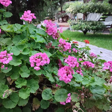 Apartament Nikos Ormos Panagias