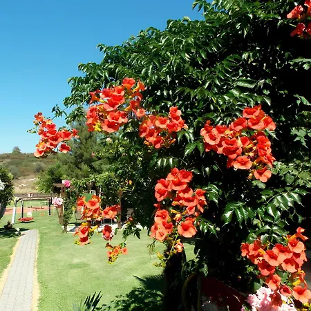 Nikos * Ormos Panagias